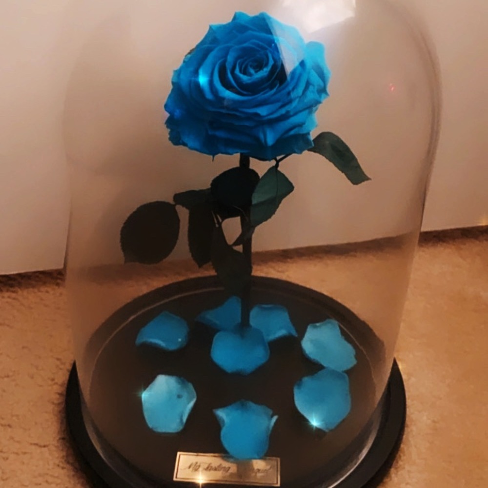 Forever blue rose 🌹